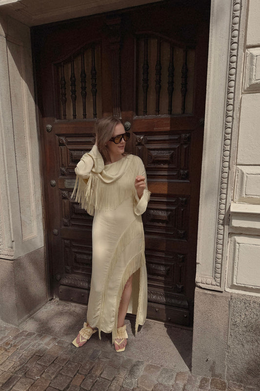 Long Sleeve Fringe Dress